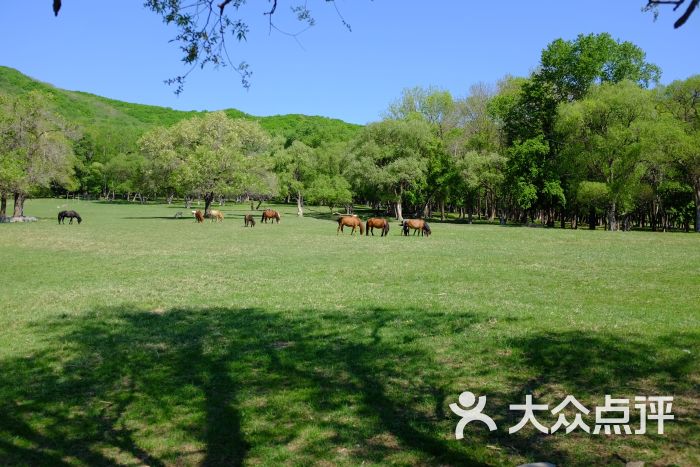 森工平山神鹿旅游区图片 - 第4张