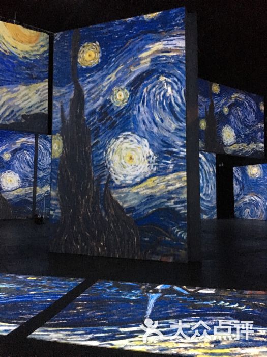华美空间梵高画展图片 - 第42张