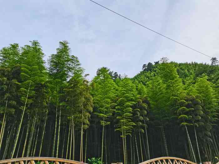 中国大竹海景区-"这个景区说实话,要是跟藏龙百瀑相比
