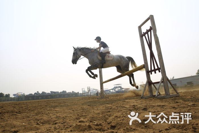 安徽马术联盟上传的图片