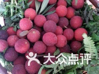 【宜兴恒乐山庄杨梅园烧烤】团购,地址,电话,订