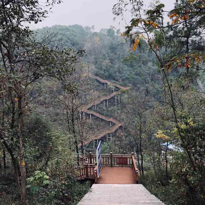 夷陵区森林公园"都想不通为什么大家.都喜欢去磨基山玩.小.