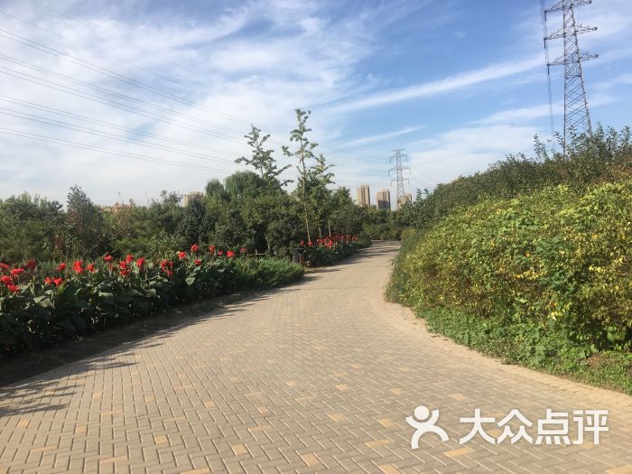 旺兴湖郊野公园图片 第9张