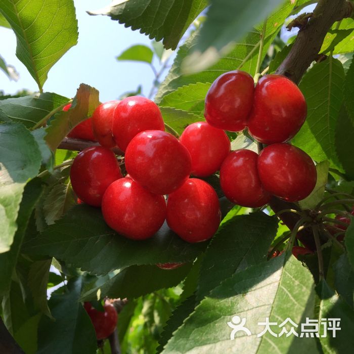 南口农场图片 第2张