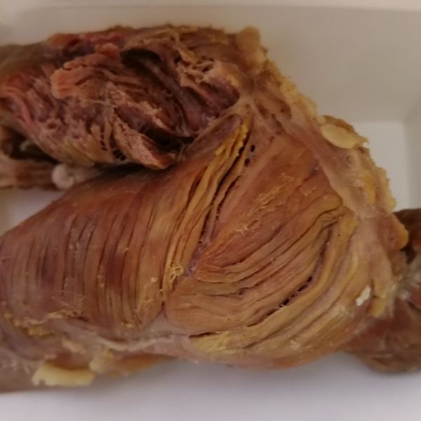 城港唐闸牛肉