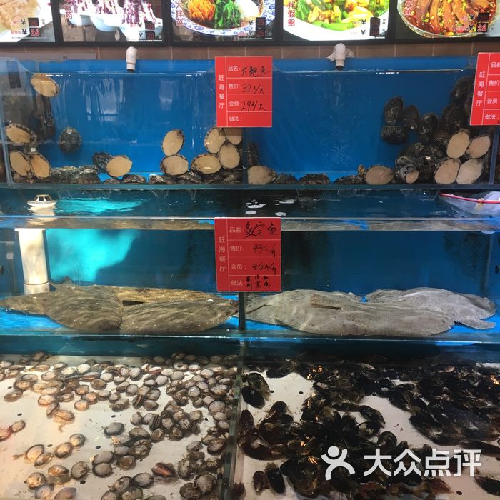 日月明赶海主题餐厅图片-北京大连海鲜-大众点评网