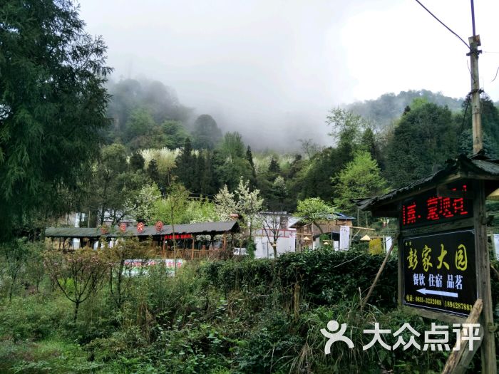 蒙顶山彭家园生态庄园图片 - 第2张