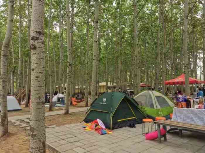 小憩杨林·露营基地-"好多人啊,特别热闹!没想到大这