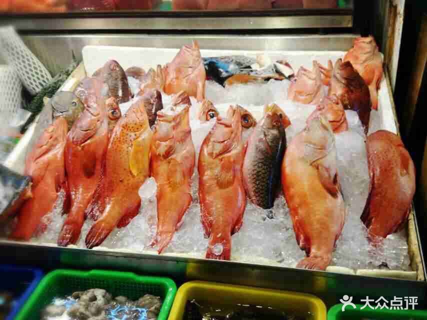 后壁湖渔业码头市场