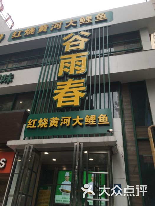 谷雨春红烧黄河大鲤鱼(丰产路店-图片-郑州美食-大众点评网