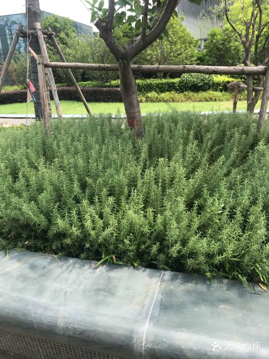 环境很大,游戏项目较多,适合年轻人聚会或.-疯