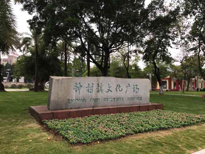 钟村镇文化广场"每天都会经过,环境很好,就是设施少了一点.