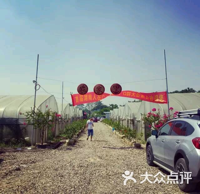 罗伞岭原生态农庄图片 - 第58张