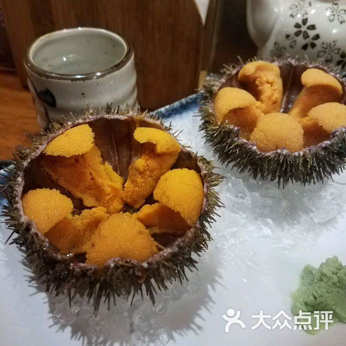活海胆刺身
