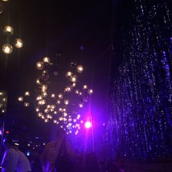 成都水母酒吧人均消费_水母卡通图片