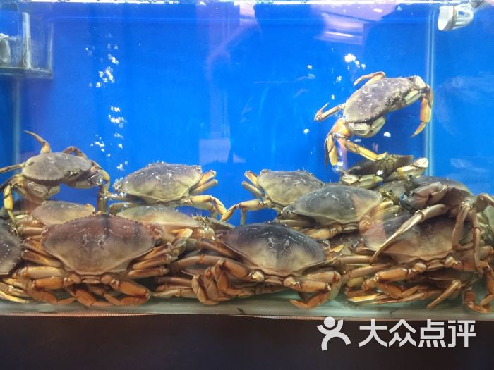 珍宝海鲜jumbo seafood(北京skp店)图片 - 第9张