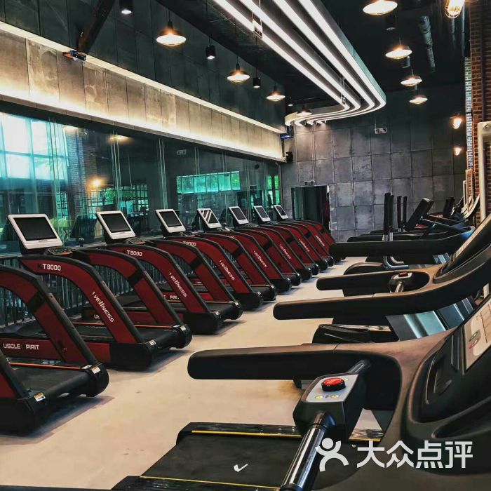 五洋健身俱乐部跑步机图片 第6张