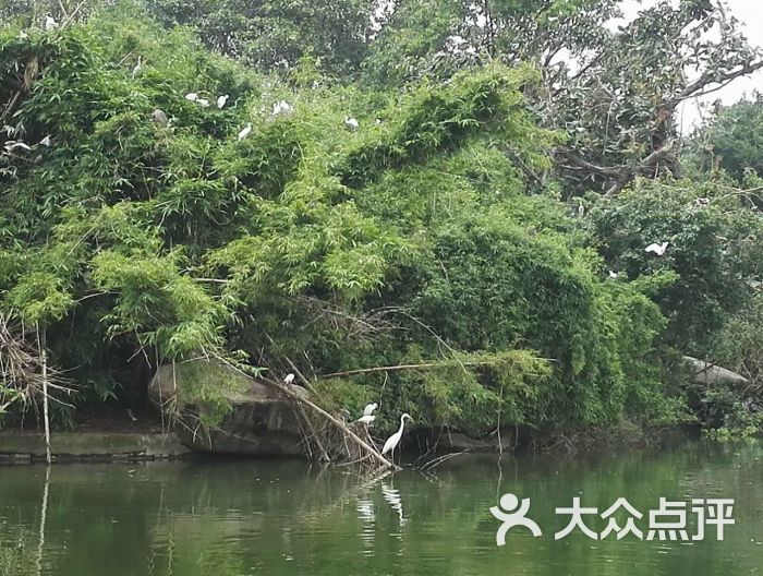 黄埔区中山公园-图片-广州景点/周边游-大众点评网