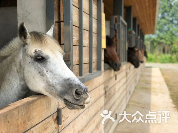 【神马农场】电话_地址_价格_营业时间_其他