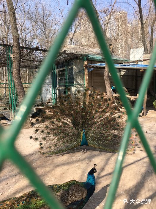 临汾市动物园图片