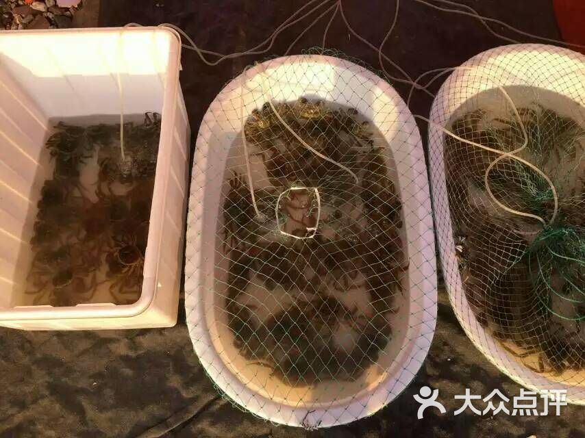 阳澄湖生态休闲旅游度假区-图片-苏州周边游