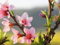 医养融合老年病医院-图片-深圳生活服务-大众点