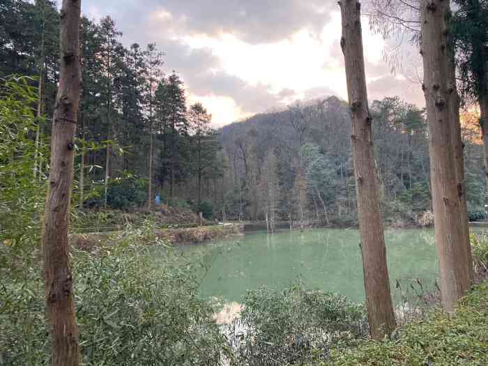 大山冲森林公园-"这个地方景美人少还不需要门票,停车