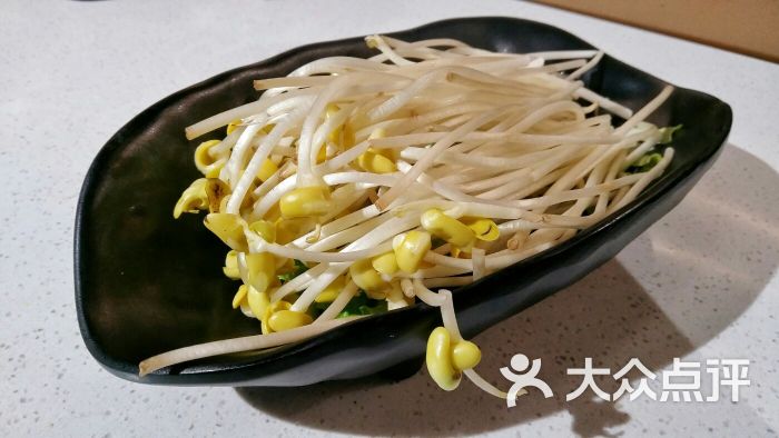 双笙记火锅-四川黄豆芽图片-西安美食-大众点评网