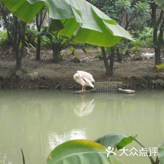 广州长隆飞鸟乐园