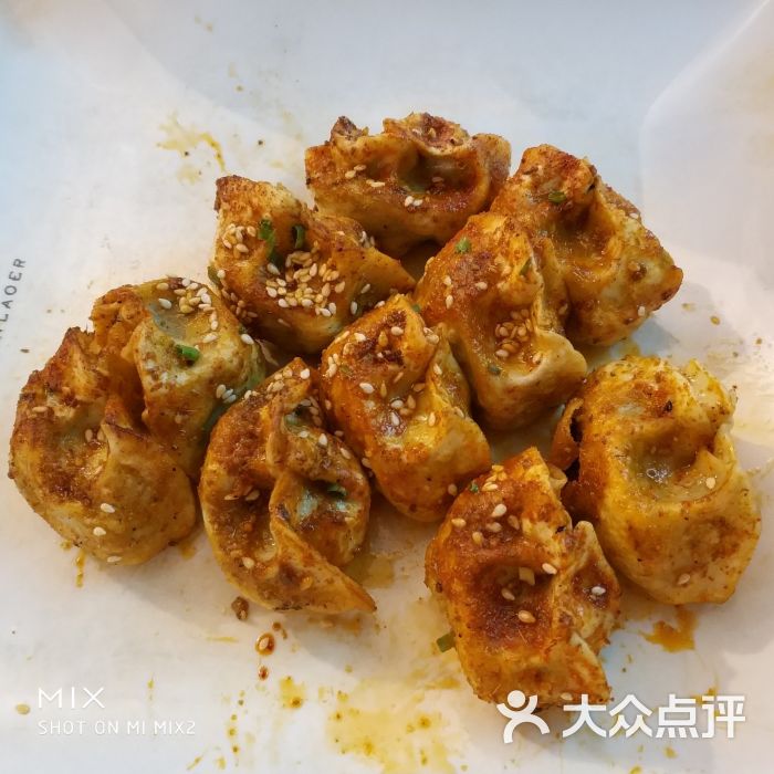 沈记烧烤海鲜烤饺子图片 第1张