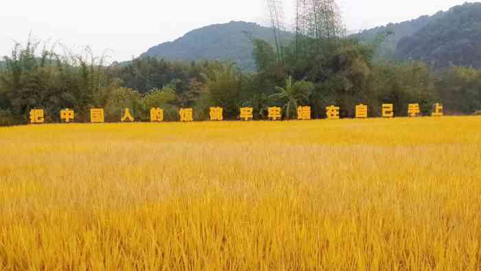 广州从化麦田生态园-"地理位置偏僻,位于从化区鳌头镇横坑村,没.