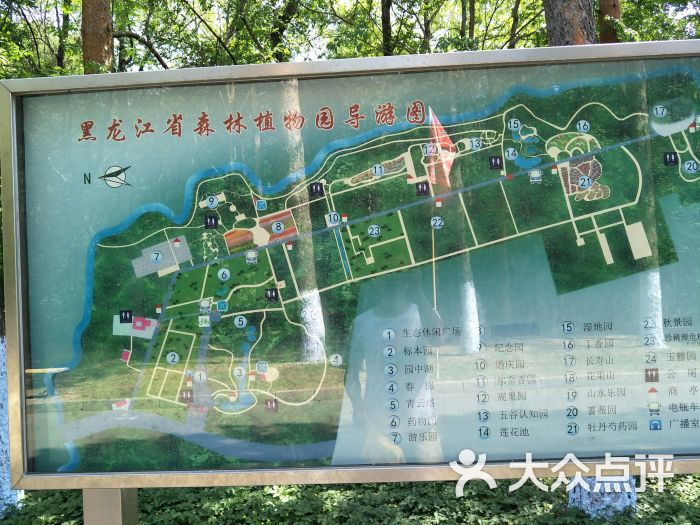 黑龙江省森林植物园-图片-哈尔滨周边游-大众点评网