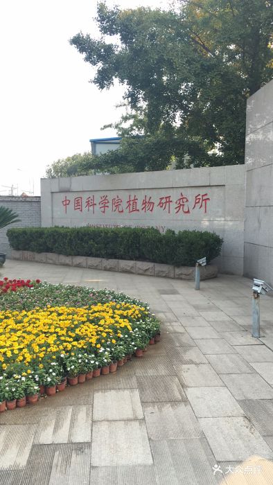 中国科学院植物研究所北京植物园图片 - 第12张