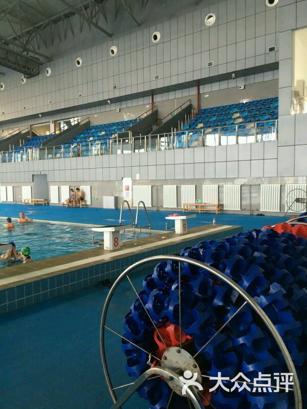 葫芦岛体育中心游泳馆图片 - 第2张