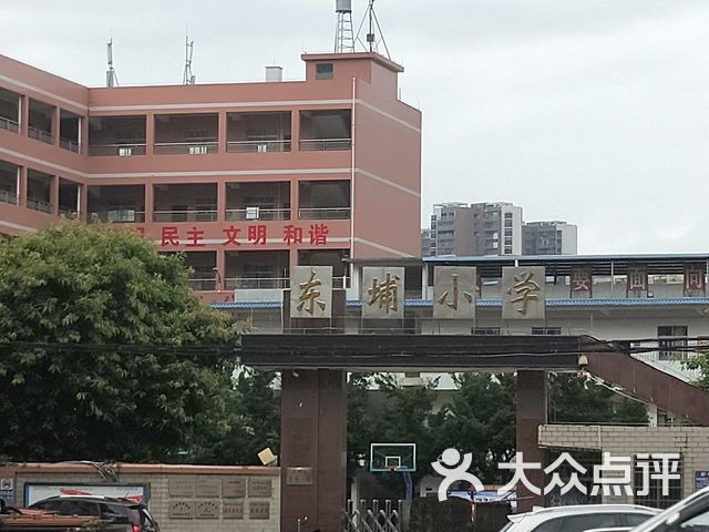 东埔小学课程_价格_简介_怎么样-河源学习培训-大众