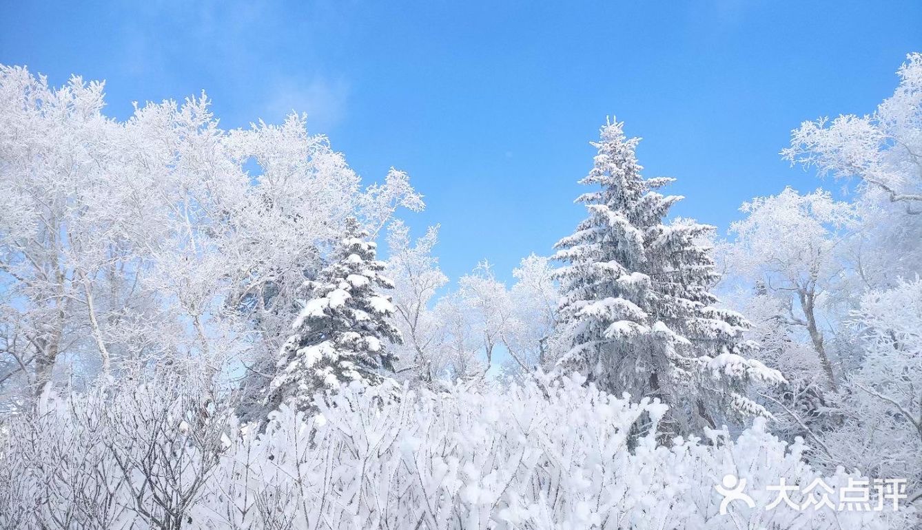 中国雪乡哈尔滨十里冰雪画廊