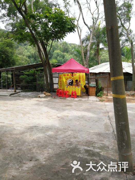 南屏观音庙(东北门店)图片 第9张