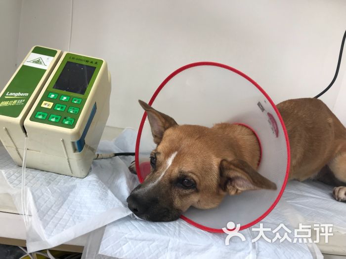 输液监控