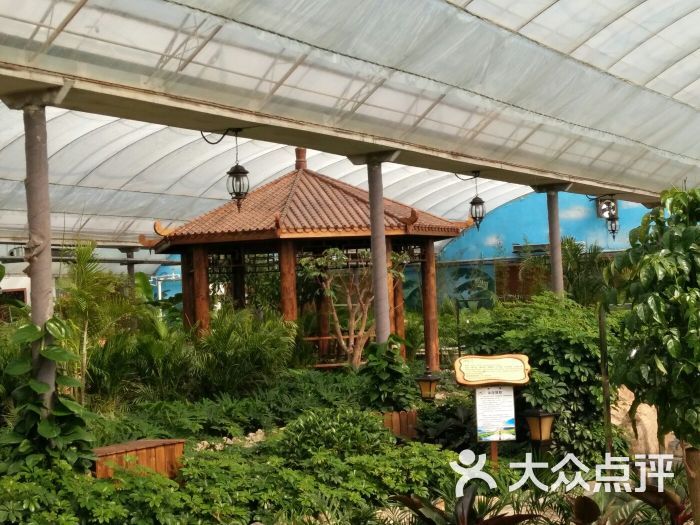 红谷温泉-图片-沈阳周边游-大众点评网