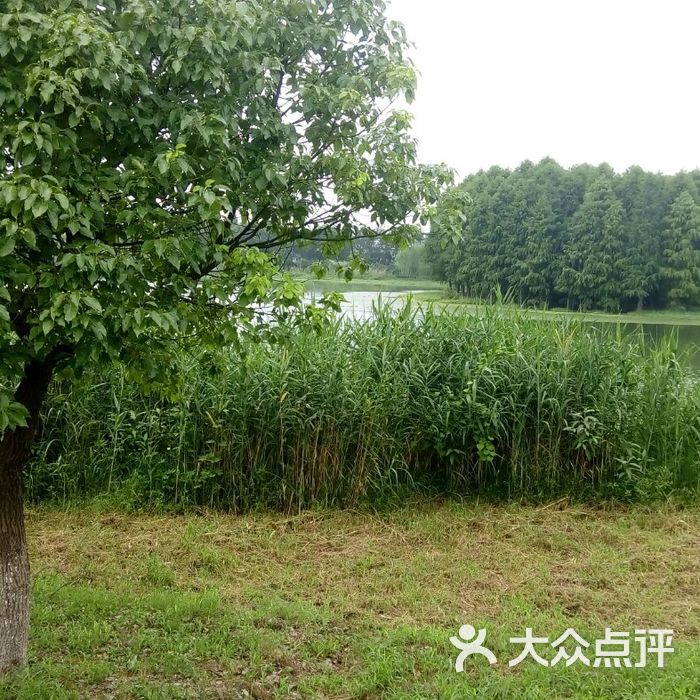 虎丘湿地公园