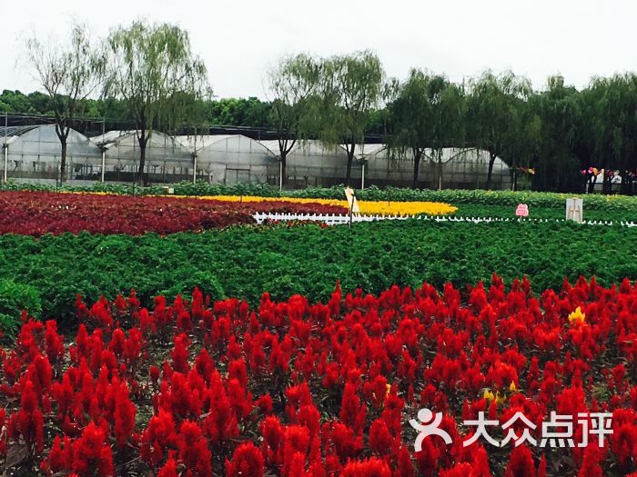 麒麟湾景区-图片-泰州周边游-大众点评网