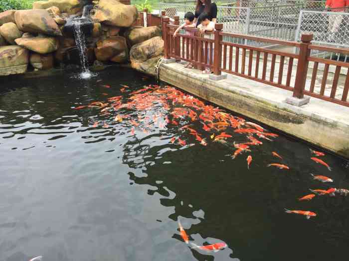 利众生态园"不能自带任何东西去,须在里面消费带东西去.