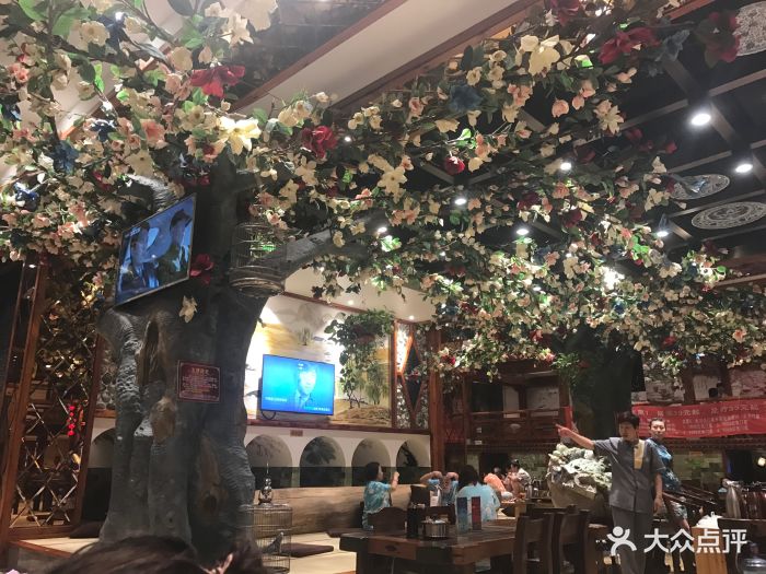 芦荟浴是真芦荟,真芦荟,真.-金芙蓉休闲洗浴-大