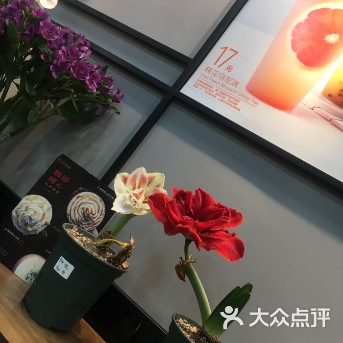 臻品汇