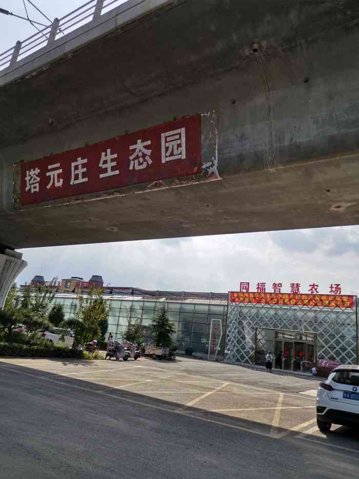 塔元庄生态园-"周末带一家老小来逛正定塔元庄生态园