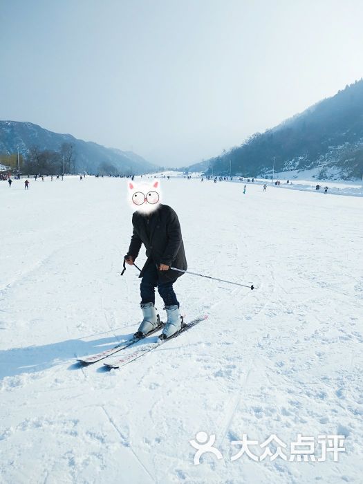 竹林畔滑雪场游乐设施图片 - 第3张