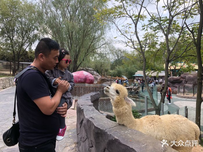 青岛动物园图片 - 第33张