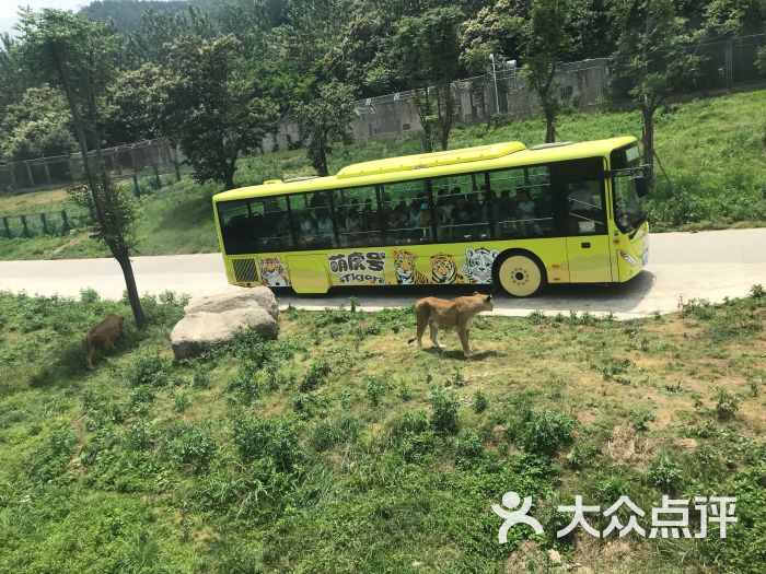 西安秦岭野生动物园图片 第6张