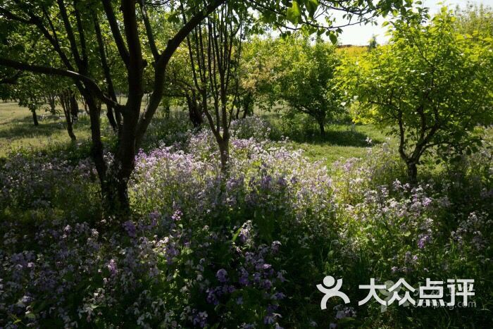 白鹿公园图片 - 第1张