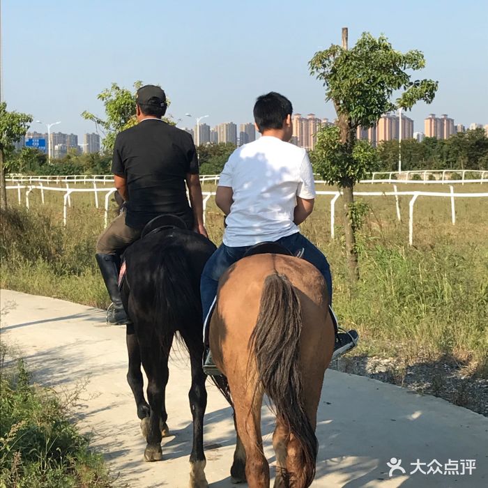 娜仁花庄园·骑马场